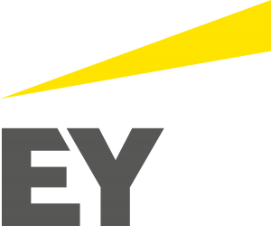 											Ernst Young